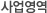 사업영역
